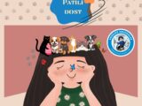 ASKIDA KEDİ & KÖPEK MAMASI